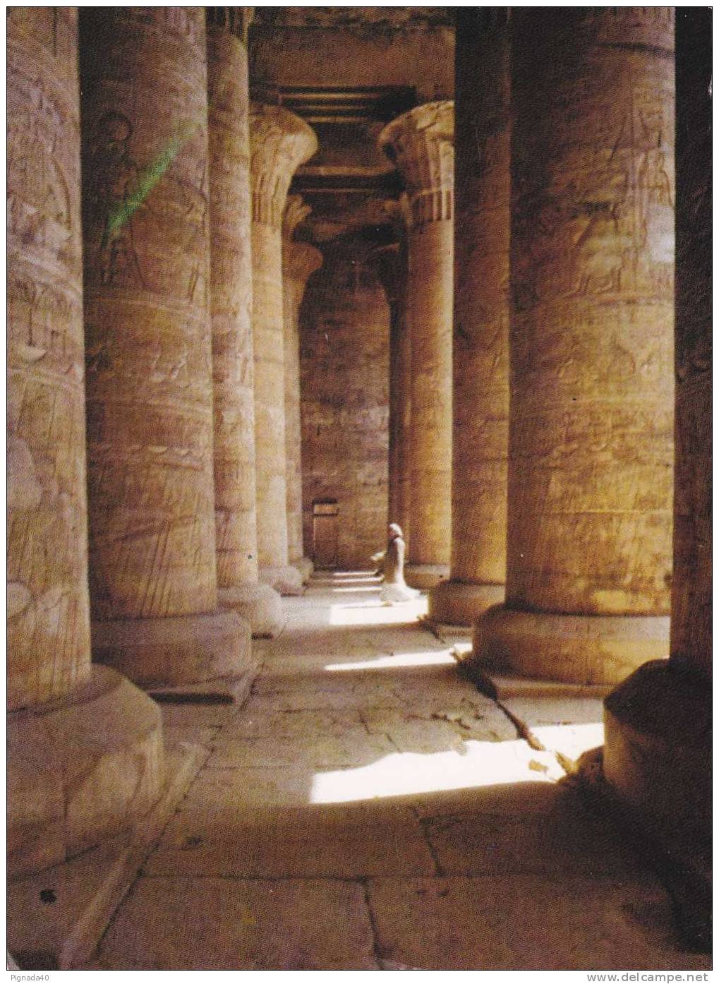 Cp , EGYPTE , EDFU , La Salle Immense Du Temple - Edfu