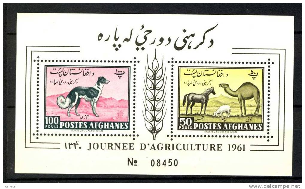 Afghanistan 1961, Dog, Camel, Horse, Sheep, S/S - Afghanistan