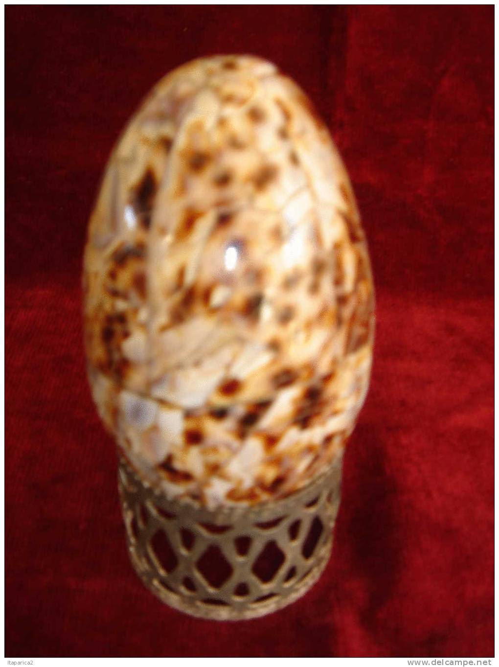 OEUF COQUILLAGE PORCELAINE TIGRIS Cypraea / AVEC SON SUPORT METALIQUE - Eggs