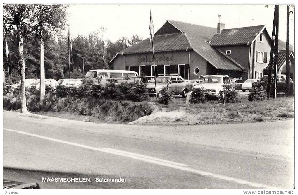 MAASMECHELEN - Camping Salamander - Maasmechelen