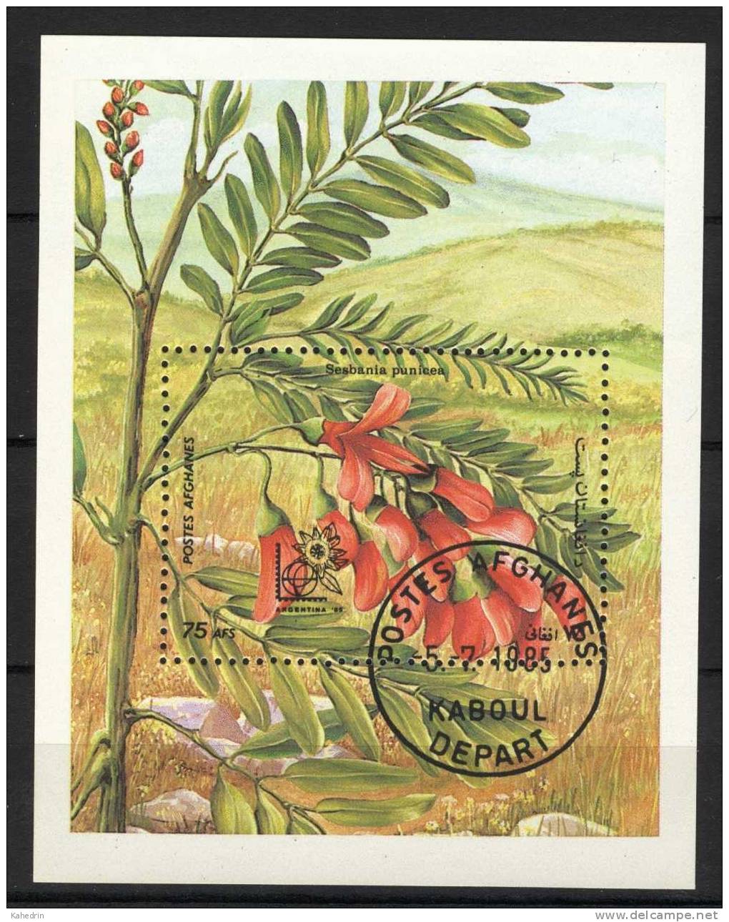 Afghanistan 1985, Flora, Fauna, Flower, S/S, (o) - Afghanistan