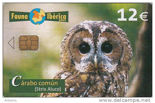 SPAIN - Bird, 5/05, Used - Autres & Non Classés