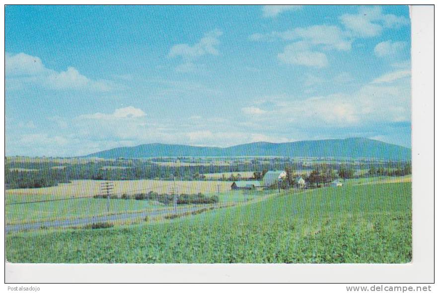 (EUA255) MAINE. MARS HILL MOUNTAIN, ON U.S. ROUTE 1, AROOSTOOK COUNTRY - Other & Unclassified