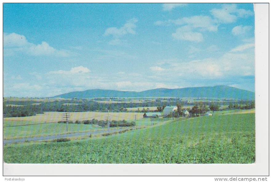 (EUA255) MAINE. MARS HILL MOUNTAIN, ON U.S. ROUTE 1, AROOSTOOK COUNTRY - Autres & Non Classés