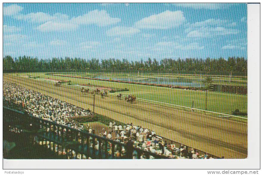 (EUA259) MIAMI. HIALEAH RACE TRACK - Miami