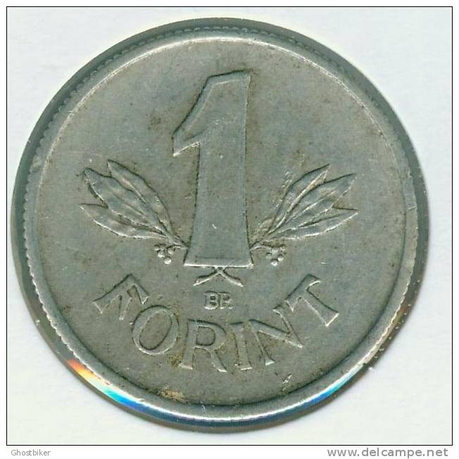 1950 BP  1 Forint - Hongrie