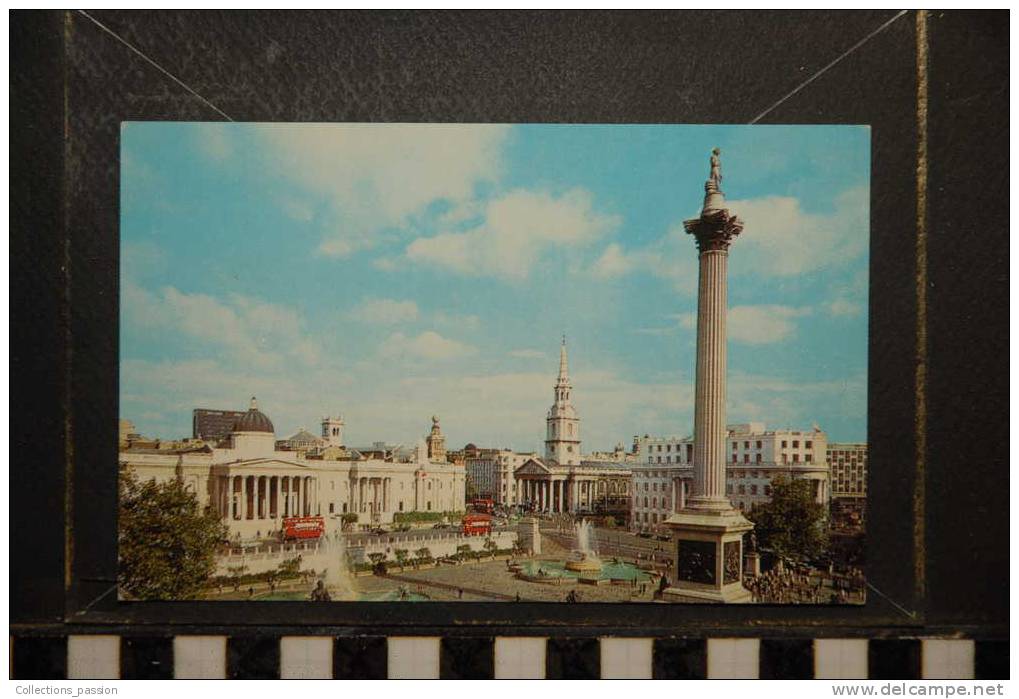 LONDON TRAFALGAR SQUARE - Trafalgar Square