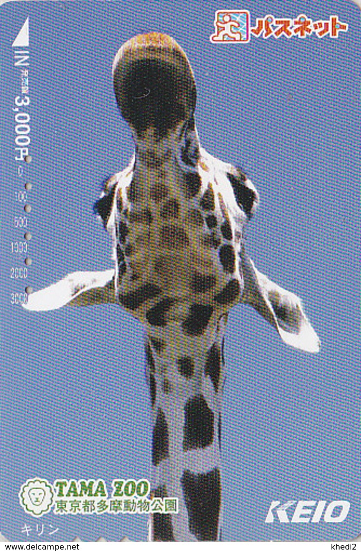 Carte Prépayée Japon - ANIMAL - GIRAFE - Série Animaux KEIO TAMA ZOO 5/6 - GIRAFFE Japan Prepaid Keio Card - 70 - Other & Unclassified