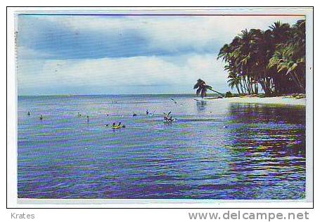 Postcard - Trinidad, Pigeon Point     (1368) - Trinidad
