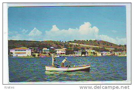 Postcard - Puerto Rico, La Parguera     (1370) - Puerto Rico