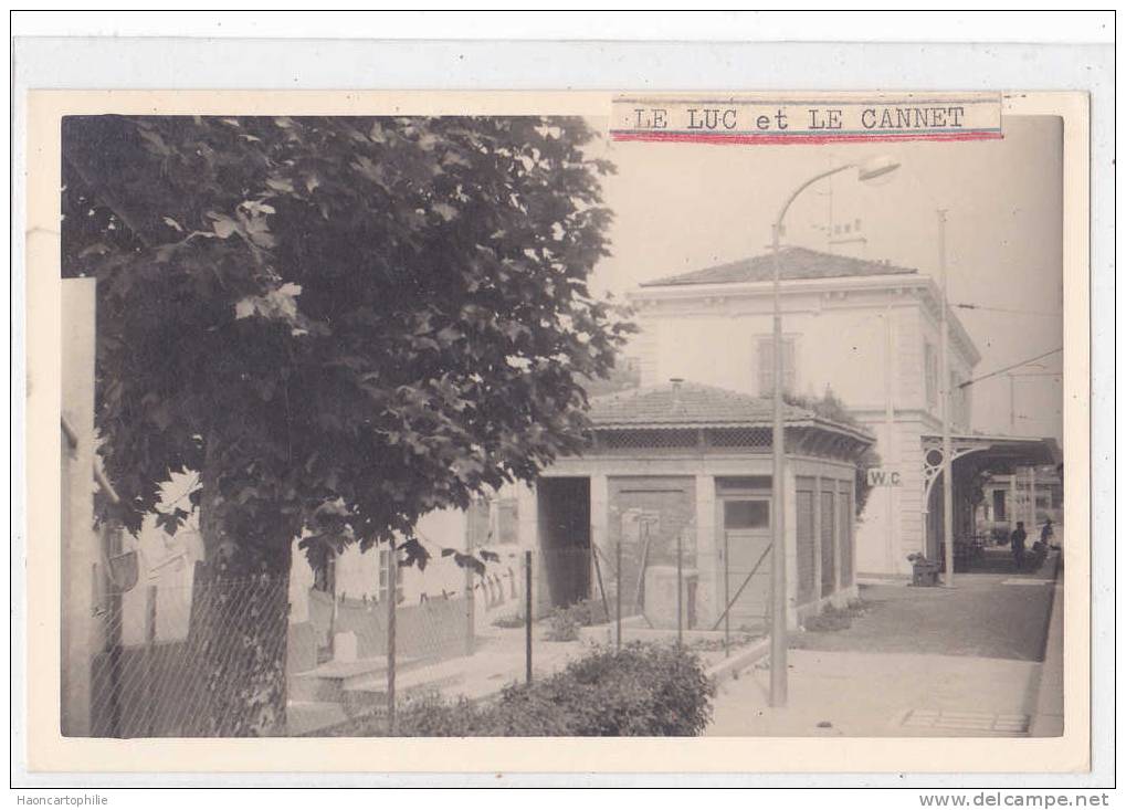 Le Luc : La Gare , Photo Datée D'aout 1966 - Le Luc