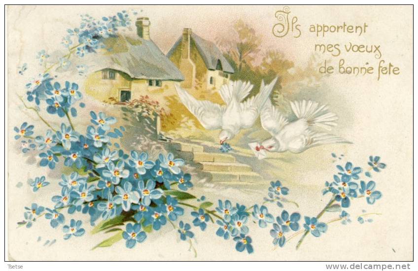 Superbe Carte En Relief, Décorée De Myosotis Et De Colombes  - 190? ( Voir Verso ) - Autres & Non Classés