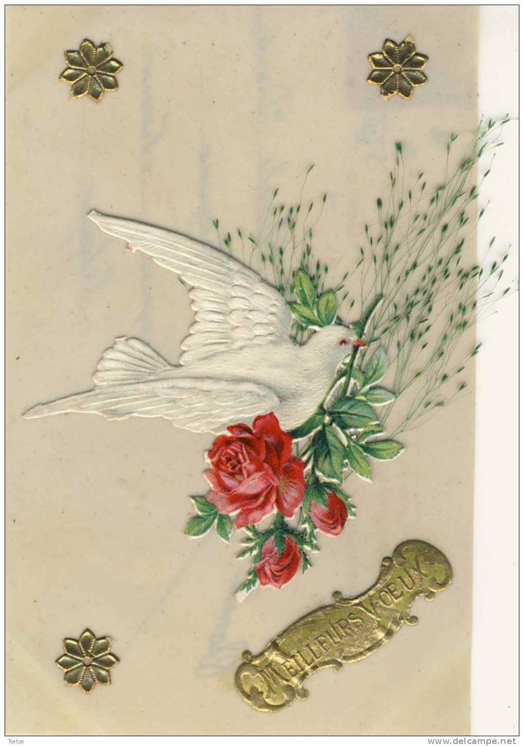 Superbe Carte En Céluloïde Avec Découpi, Colombes Et Roses -1906  ( Voir Verso ) - Brodées