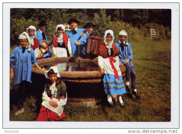 Cpm Couleurs De LORRAINE Groupe FOLKLORIQUE Costume Accordéon- 7131 Pierron - Lorraine