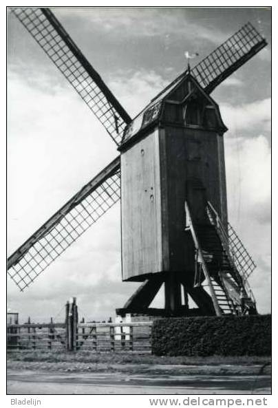 HOUTAVE (W.Vl.) - Molen/moulin - De Westmolen Omstreeks 1950 (later Overgebracht Naar Kruishoutem / Wannegem-Lede) - Zuienkerke