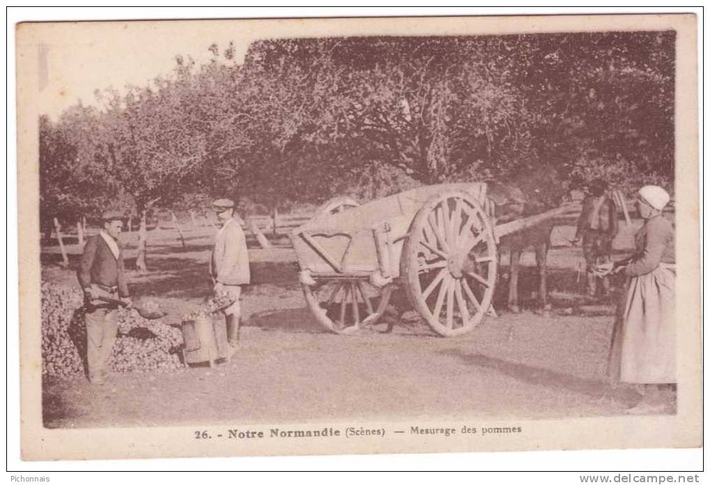 Type NORMANDIE  Cidre Mesurage Des Pommes  Ramassage - Non Classés