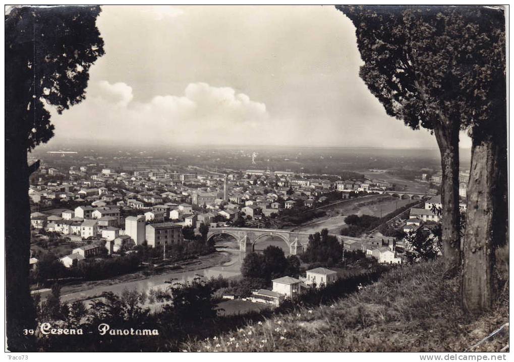 CESENA  /  Panorama  -  Viaggiata - Cesena