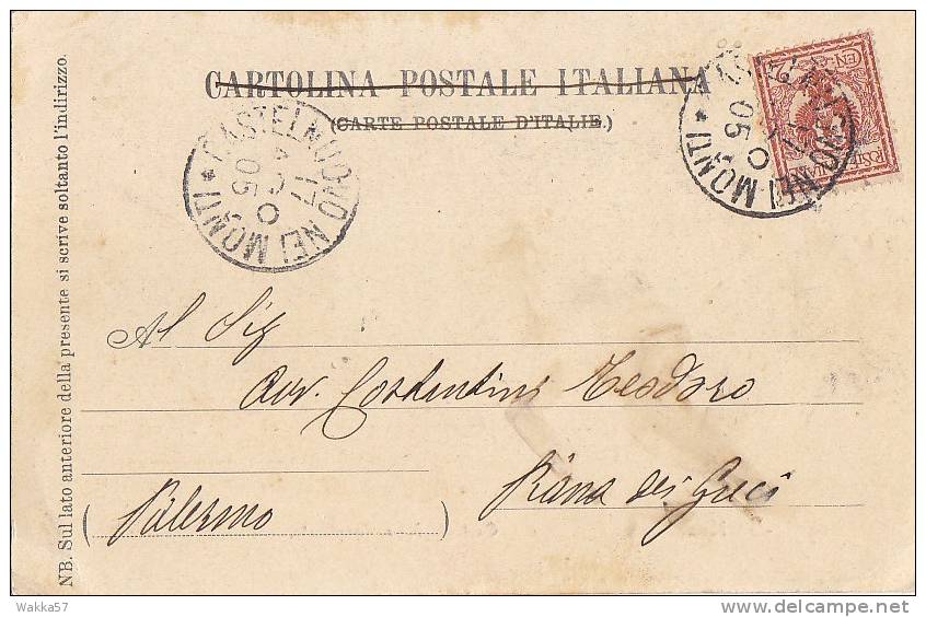 $3-0972- REGGIO EMILIA - CASTELLO DELLE CARPINETE - F.P. VIAGGIATA 1905 - Reggio Emilia