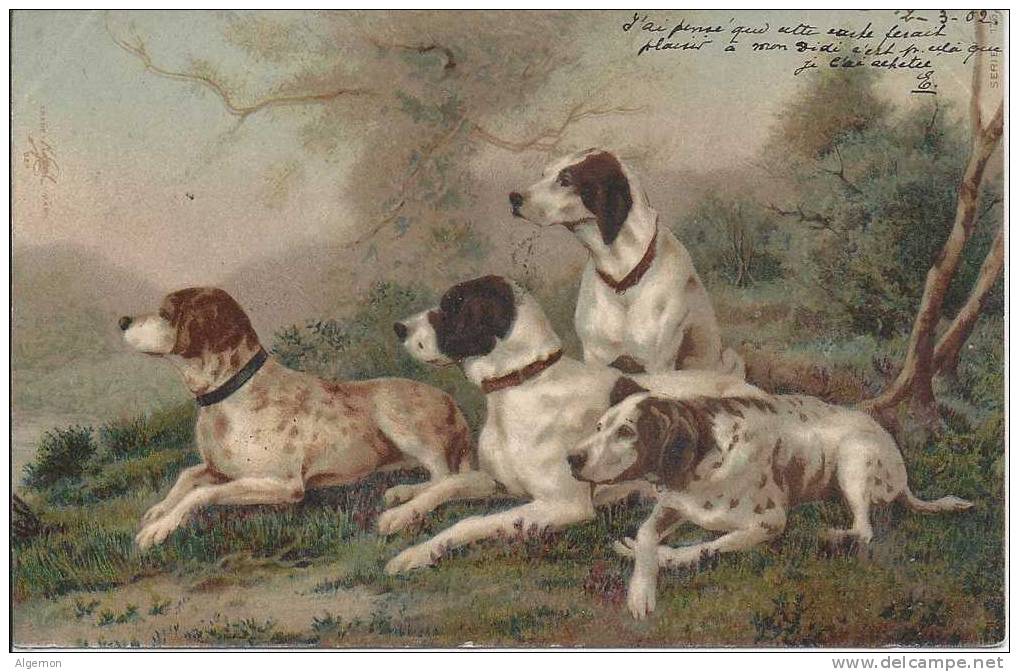 1007 - 4 Chiens De Chasse - Cani