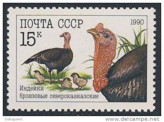 Soviet Unie CCCP Russia 1990 Mi 6104 YT 5766 ** Meleagris Gallopavo: Domestic Turkey / Dindon Sauvage / Haustruthuhn - Gallinaceans & Pheasants