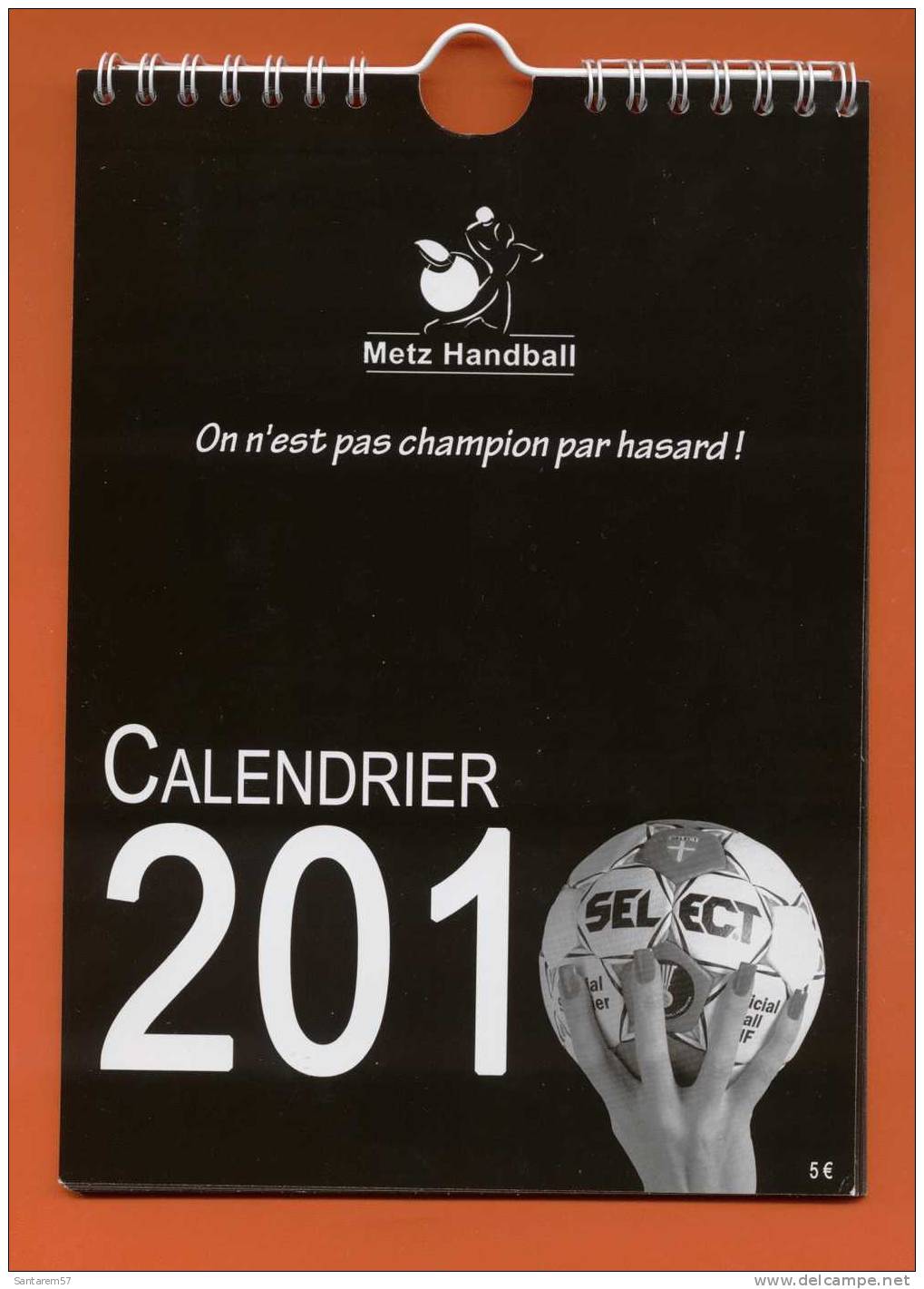 Calendrier Murale Wall Calendar Calendário De Parede Metz Handball 2010 - Big : 2001-...