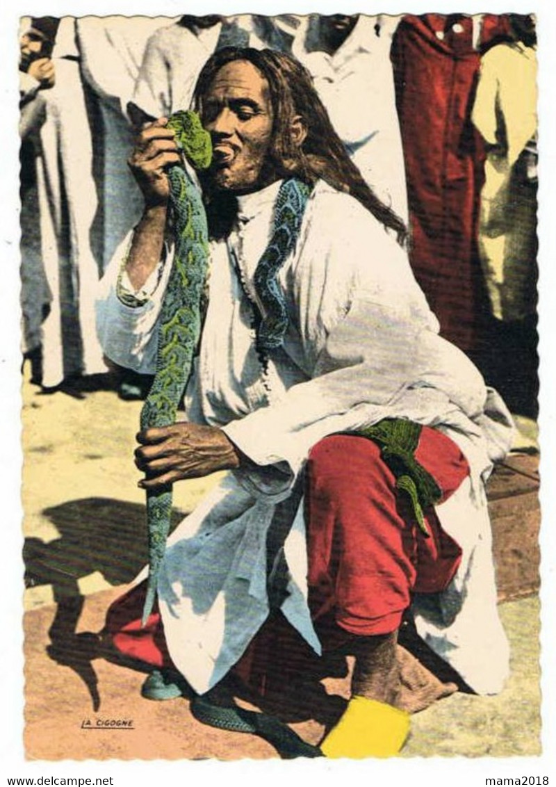 MAROC    Scenes Et Types   Charmeur De Serpent - África