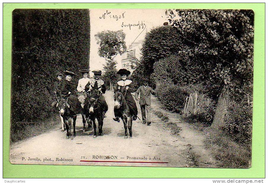 Promenades à Dos D'ANES - Robinson - 2 Scans - Anes