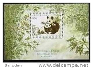 Australia 1995 Rare Animal Stamp S/s- Panda Bear Fauna Bamboo Joint With China - Ours
