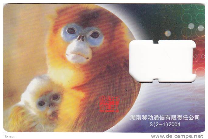 China, M-Zone, Monkey On GSM Frame, No Chip, 2 Scans. - China