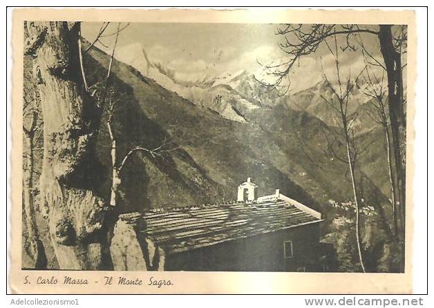 52001)cartolina Illustratoria San Carlo Massa - Il Monte Sagro E Panorama - Carrara