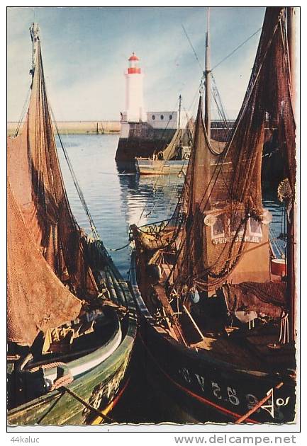 GUILVINEC (Finistère) Bateaux Schant Leur Filets Dans Le Port - Guilvinec