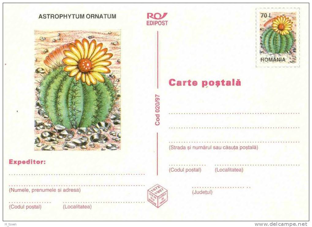 Cactus: Entier (c.p.) 1997  -  "Monk's Hood" (Astrophytum Ornatum) Stationery Postcard From Romania. "bishop's Cap" - Cactusses