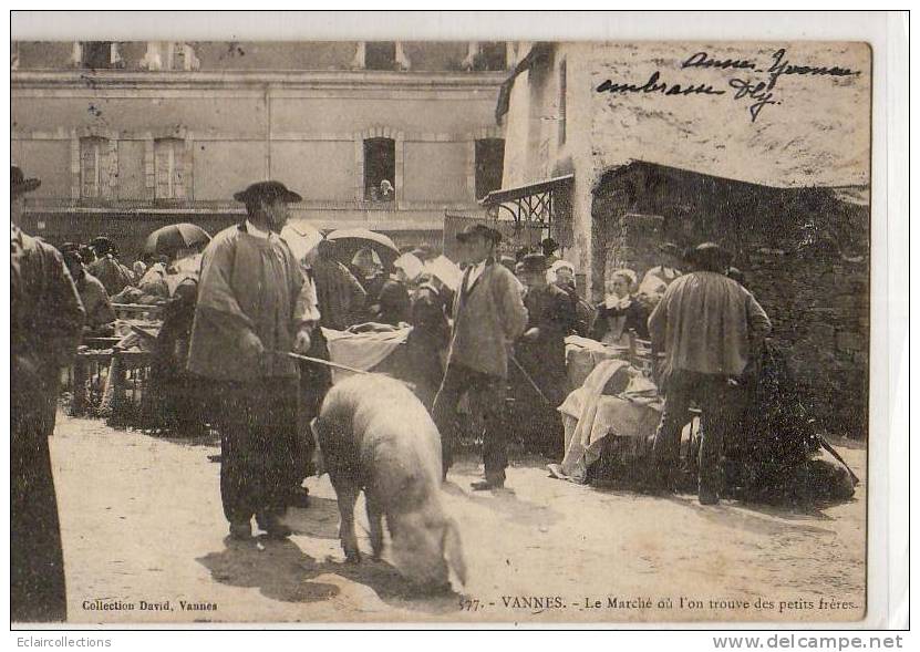 Vannes     56    Le Marché Aux Porcs  (voir Scan) - Vannes