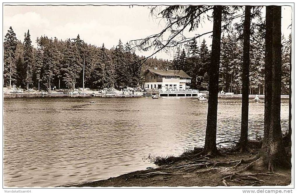 AK Fichtelsee Im Fichtelgebirge 19.8.60 -15 (13a) NEUBAU über MARKTREDWITZ Nach Berlin-Wilmersdorf Mit 1 X 10 Pf - Marktredwitz