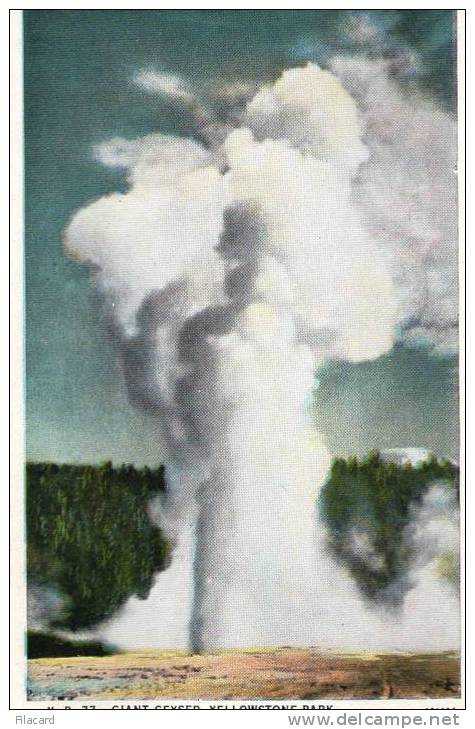 12109   Stati  Uniti  Wyoming,  Yellowstone  Park,  Giant  Geyser,  NV - Yellowstone