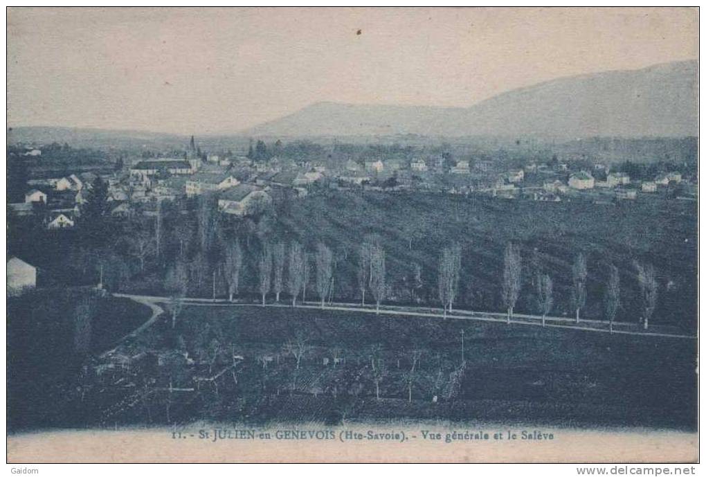 11 ST JULIEN EN GENEVOIS - Vue Générale Et Le Salève - Saint-Julien-en-Genevois