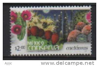 MEXIQUE.Protection Des Cactus  (Mexico Conserva) 1 T-p Neuf ** ( These Stamps Are Getting Scarcer Everyday) - Cactusses