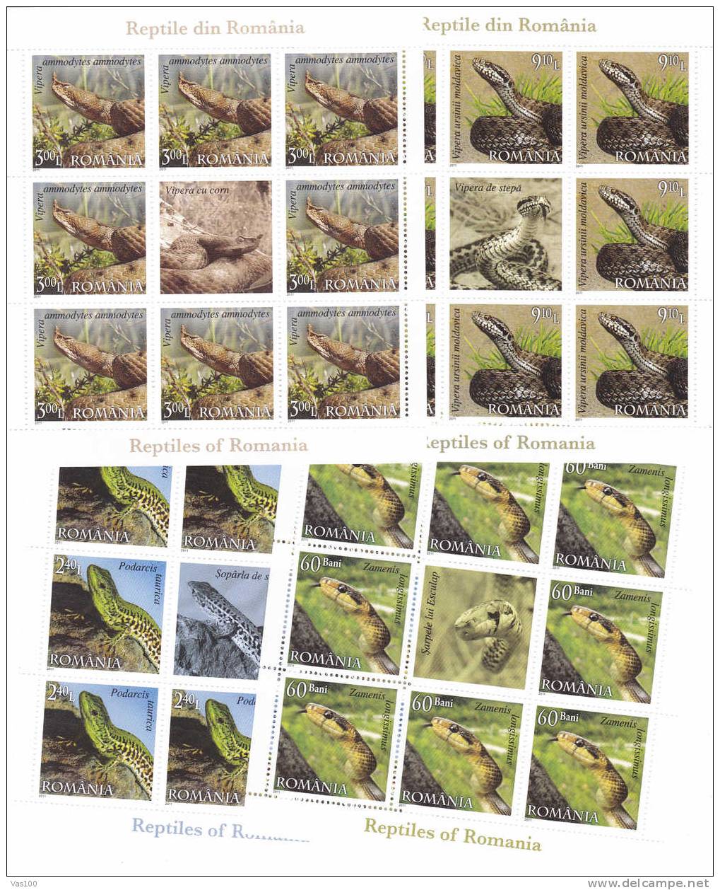 Reptiles;snake,wall Lizard,horned Viper And Meadow Viper 2011 MNH 4 Minisheets + Labels Romania News! - Full Sheets & Multiples