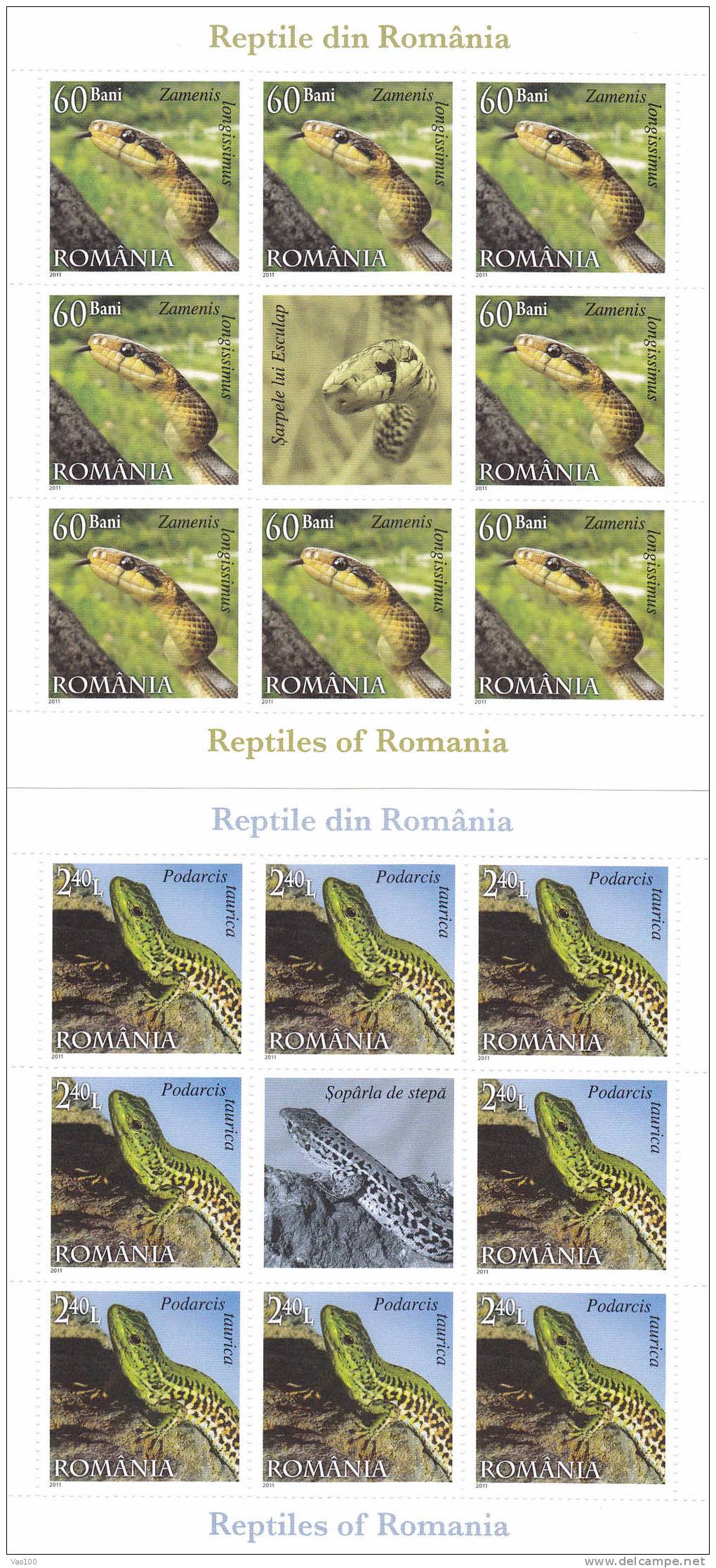 Reptiles;snake,wall Lizard,horned Viper And Meadow Viper 2011 MNH 4 Minisheets + Labels Romania News! - Full Sheets & Multiples