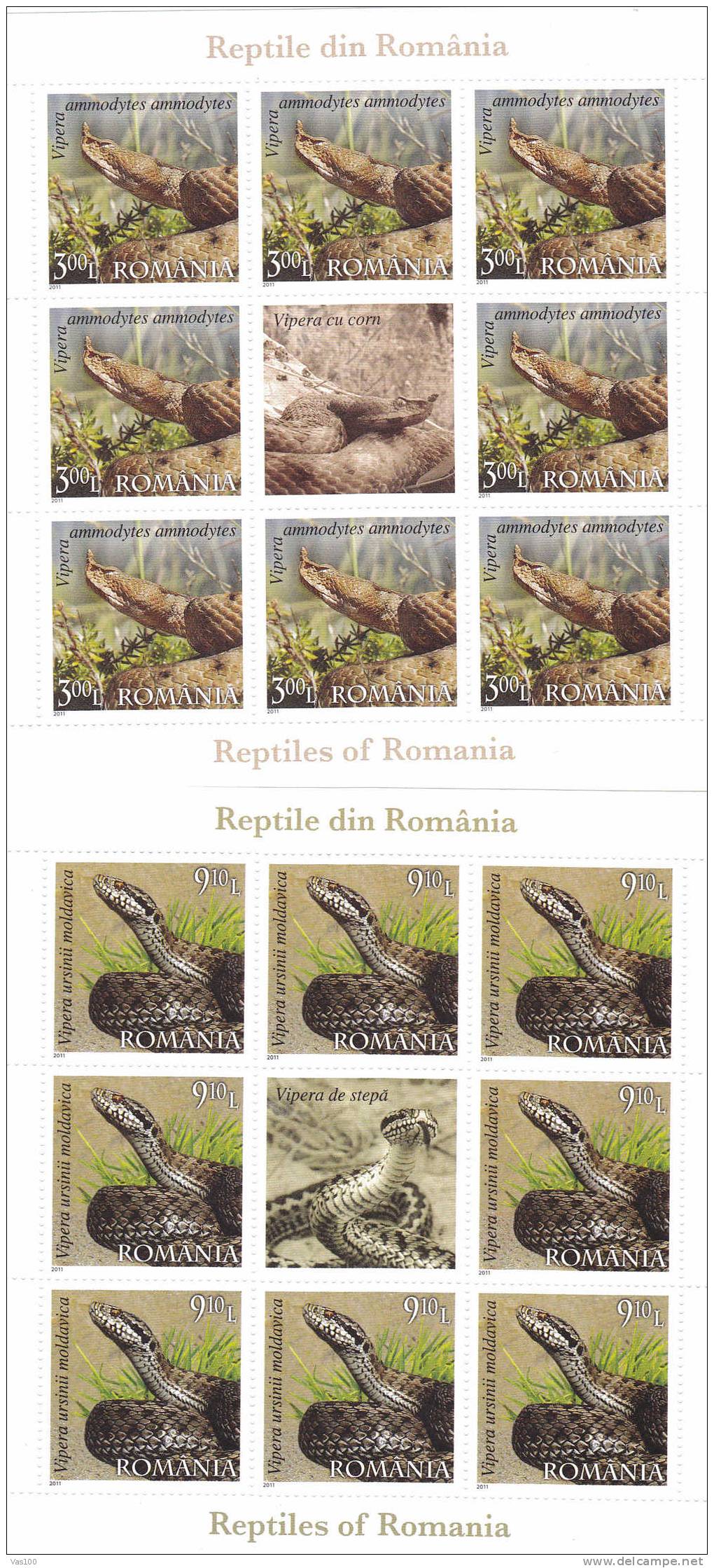 Reptiles;snake,wall Lizard,horned Viper And Meadow Viper 2011 MNH 4 Minisheets + Labels Romania News! - Full Sheets & Multiples