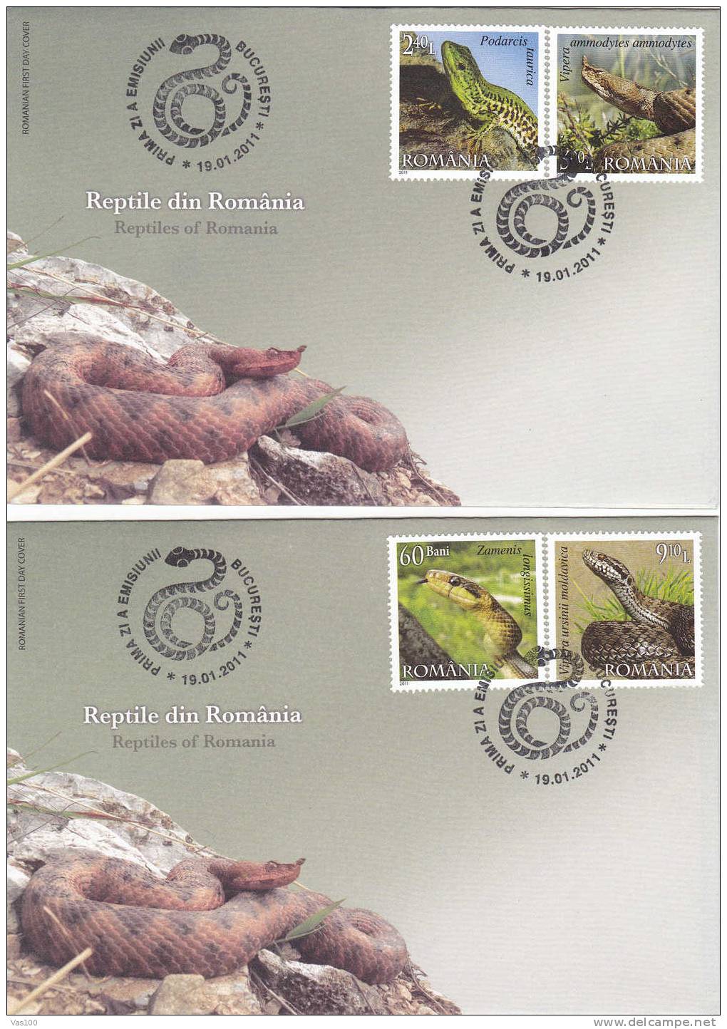 Reptiles;snake,wall Lizard,horned Viper And Meadow Viper 2011 Covers FDC 2X,Romania News! - Snakes