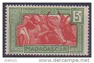 # - MADAGASCAR -  N° 164 - NEUF SANS CHARNIERE - Other & Unclassified