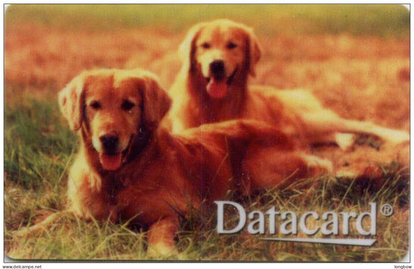 DATACARD Magnetic-DOGS - Non Classés