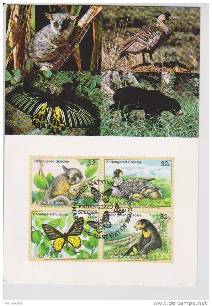 NATIONS UNIES CARTE PREMIER JOUR ESPECES ANIMALES EN DANGER BELLE CARTE - Bears