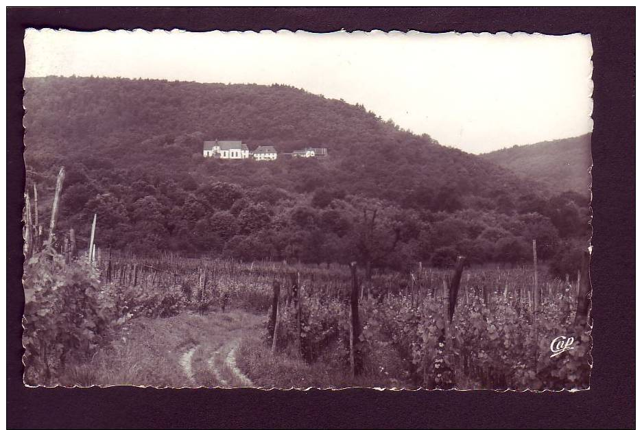 67 - PFAFFENHEIM - VUE GENERALE - NOTRE-DAME DU SCHAUENBERG - (0807/7700) - Autres & Non Classés