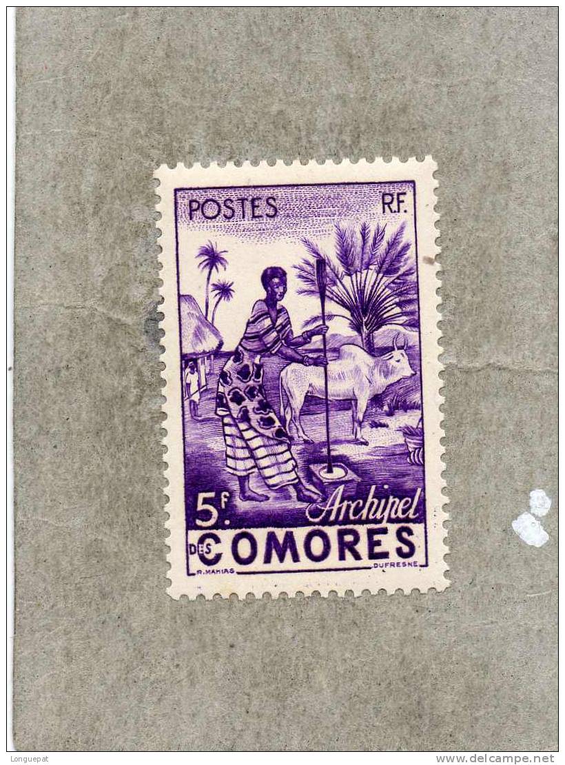 COMORES : Femme Indigène - Nuevos