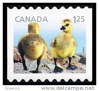 Canada (Scott No.2431 - Canard  / Duck) [**]  De Carnet / From Booklet - Unused Stamps