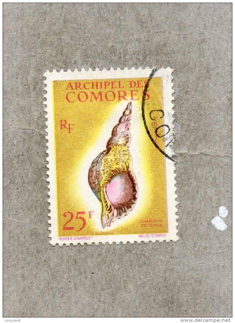 COMORES :  Coquillage : Charonia Tritonis - Used Stamps