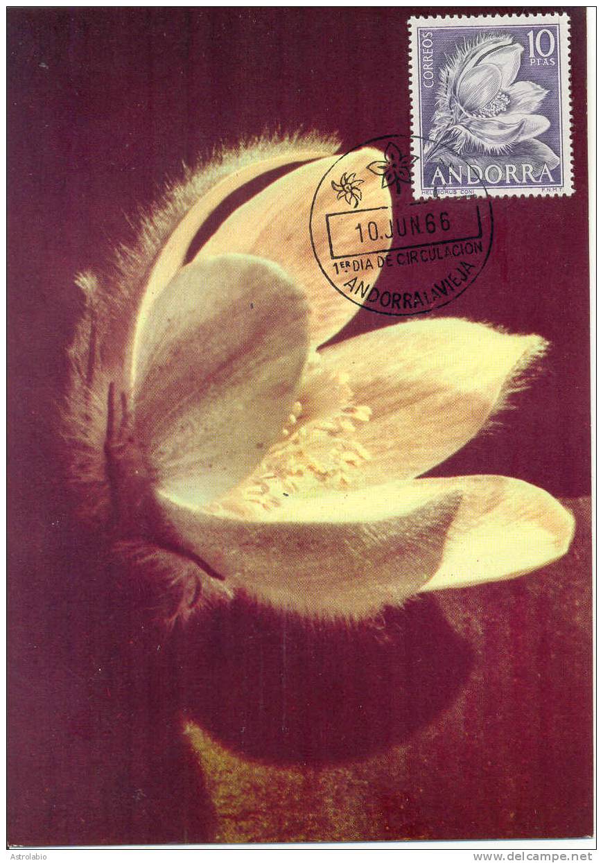 Carte Maximum (4) Flore Andorre Espagnol 1966 Yvert 61/4 Voir 4 Scan - Cartoline Maximum