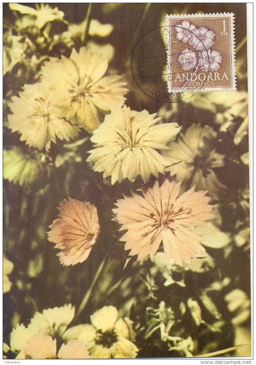 Carte Maximum (4) Flore Andorre Espagnol 1966 Yvert 61/4 Voir 4 Scan - Maximum Cards